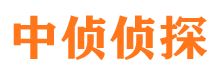 成华寻人公司